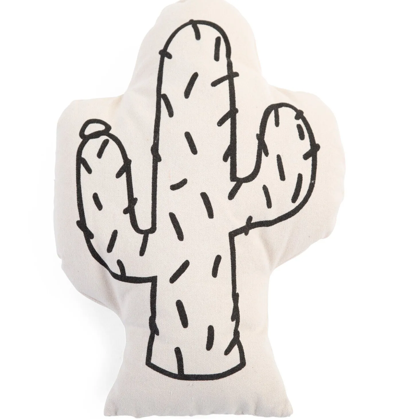 Coussin Décoratif - Toile - Cactus