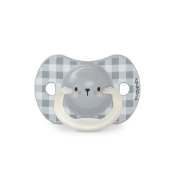 Lot de 2 sucettes phosphorescentes SX Pro 0/6M Night&Day