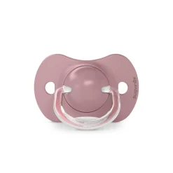 Lot de 2 sucettes SX Pro +18m A walk in the park