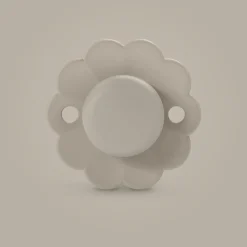 Sucette réversible SX Pro 0/6M Wonder